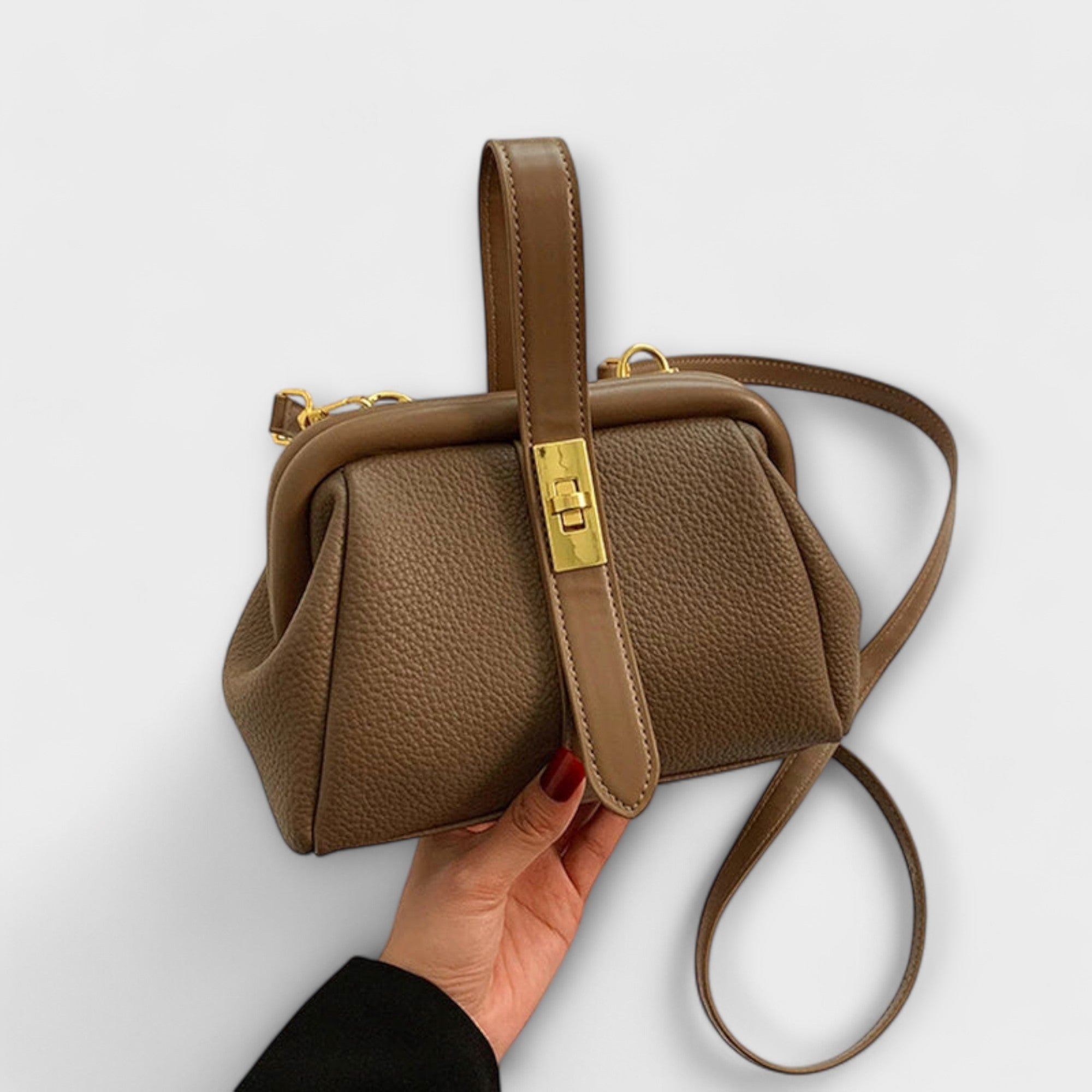 Alina | Classic Mini Bag